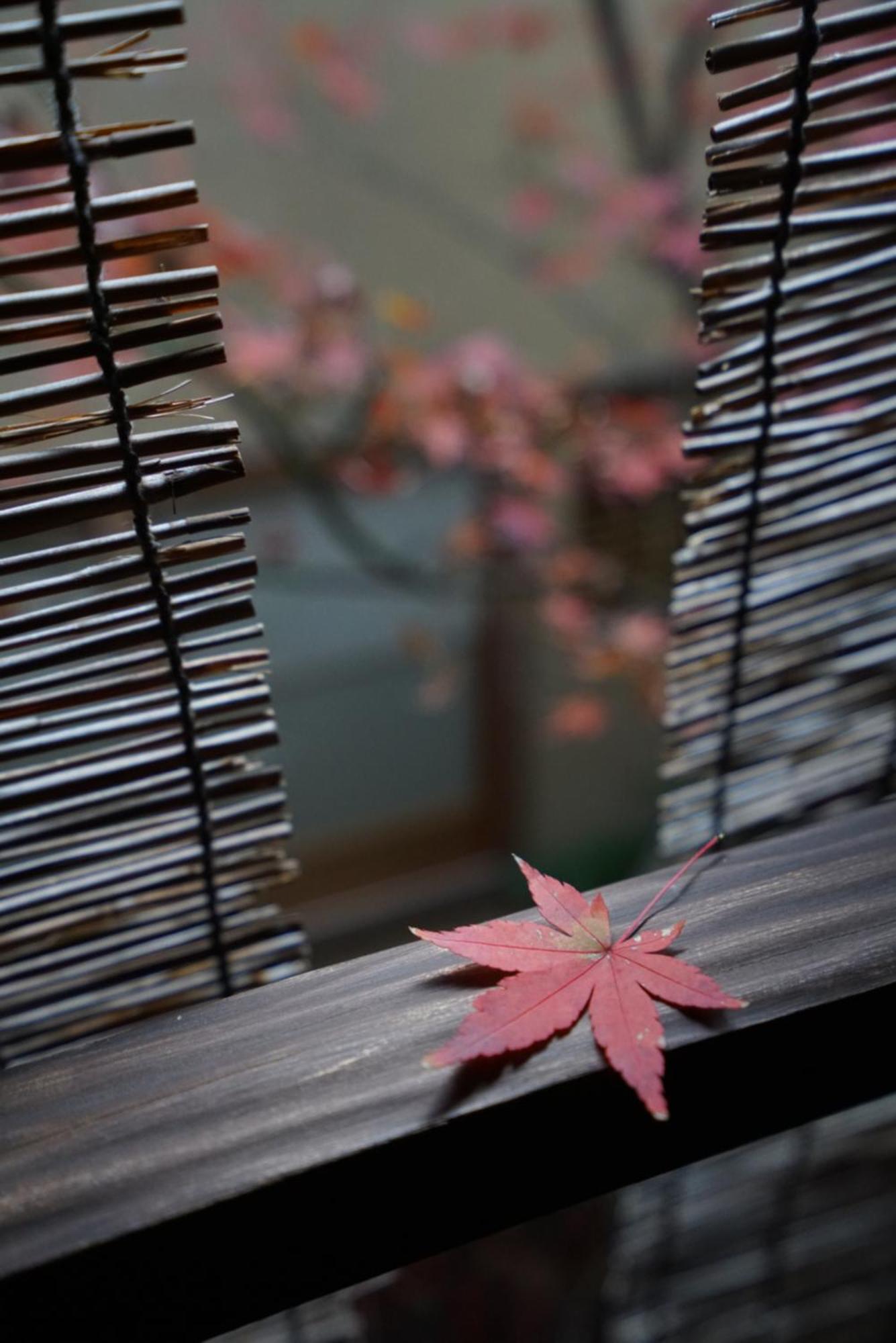 Ryokan Tori Kyoto Buitenkant foto