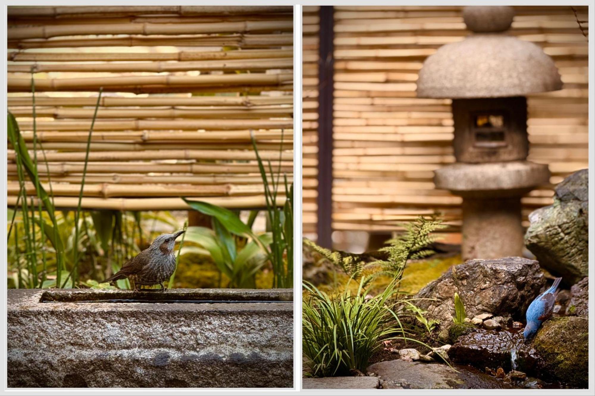 Ryokan Tori Kyoto Kamer foto